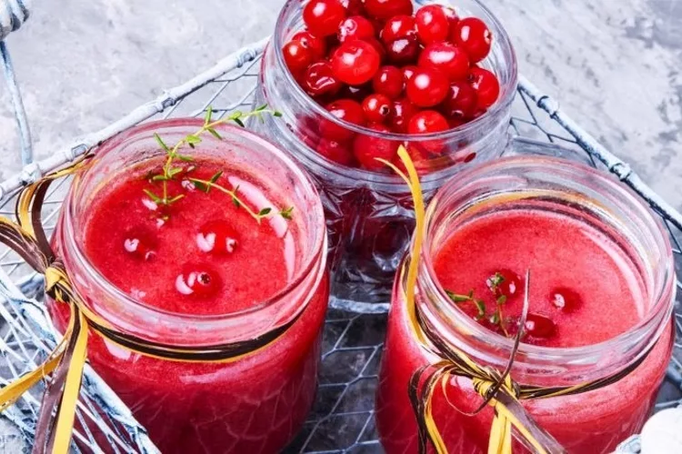 Top 4 Best Cranberry Juice Brands: 