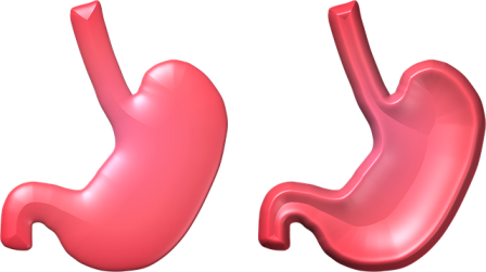 Digestive System