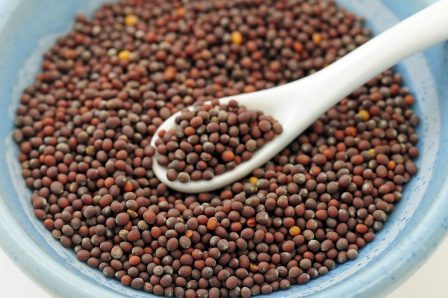 Best Brown Mustard Brands